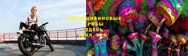 крисы Нязепетровск