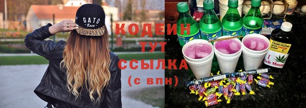 винт Няндома