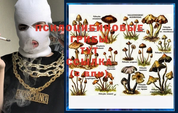 винт Няндома