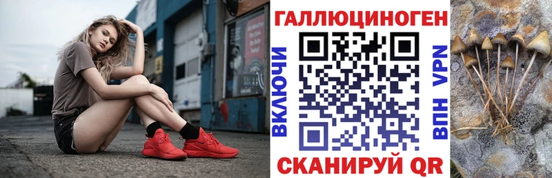 mega   где можно купить наркотик  Красновишерск  Псилоцибиновые грибы Cubensis 